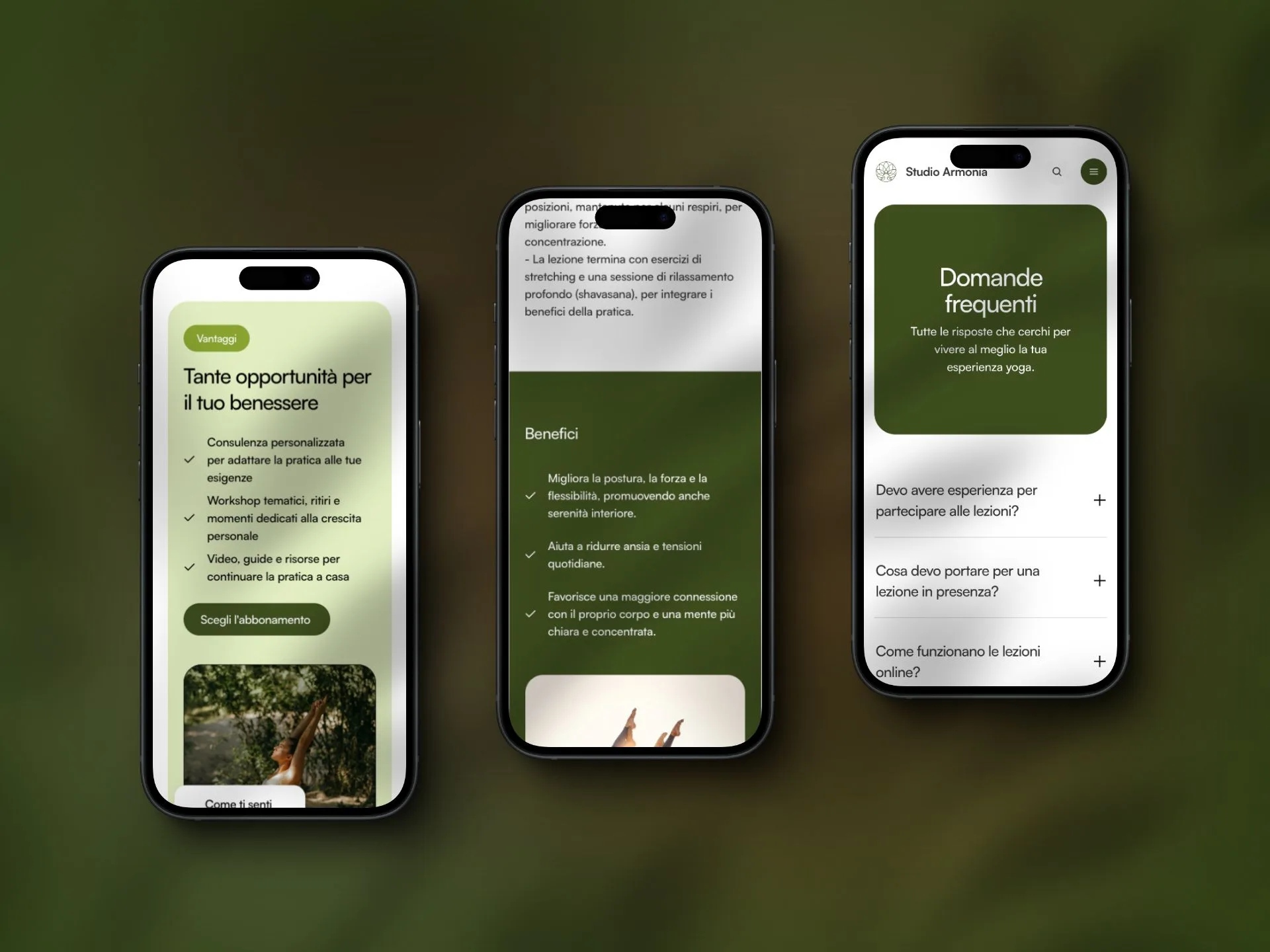 Anteprima di un progetto web